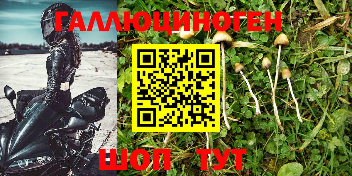 Галлюциногенные грибы мухоморы Бузулук
